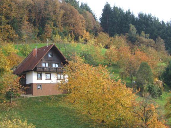 Ferienhof Fischer Seebach Exteriér fotografie