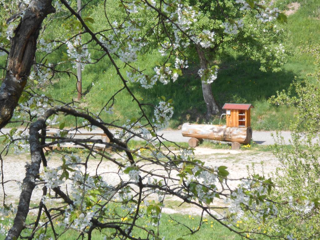 Ferienhof Fischer Seebach Exteriér fotografie