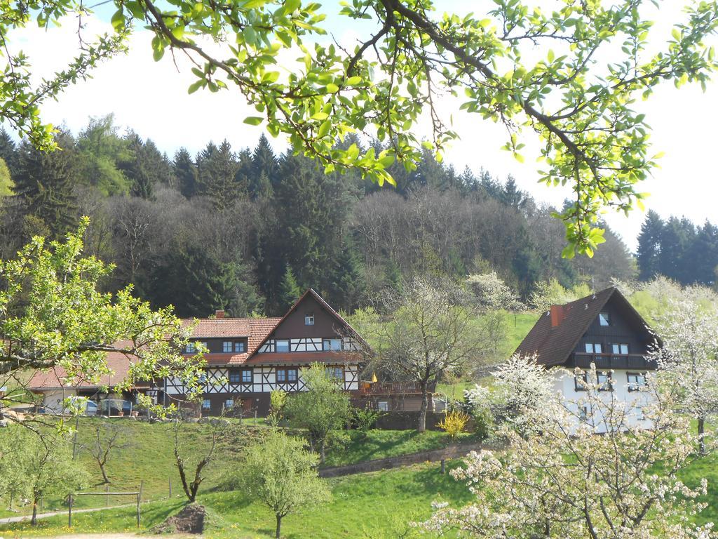 Ferienhof Fischer Seebach Exteriér fotografie